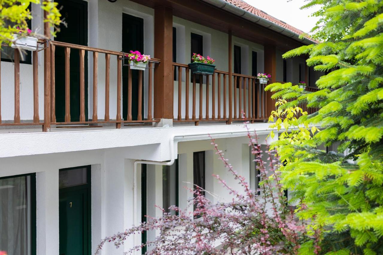 Pensiunea 7 Tei Cisnădioara Exterior foto