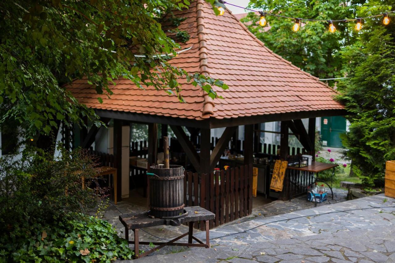 Pensiunea 7 Tei Cisnădioara Exterior foto