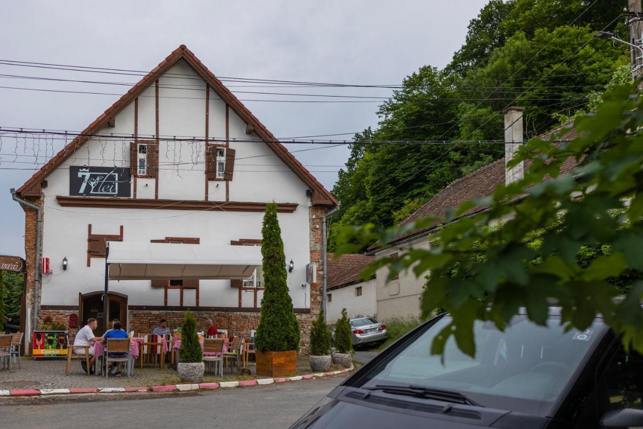 Pensiunea 7 Tei Cisnădioara Exterior foto