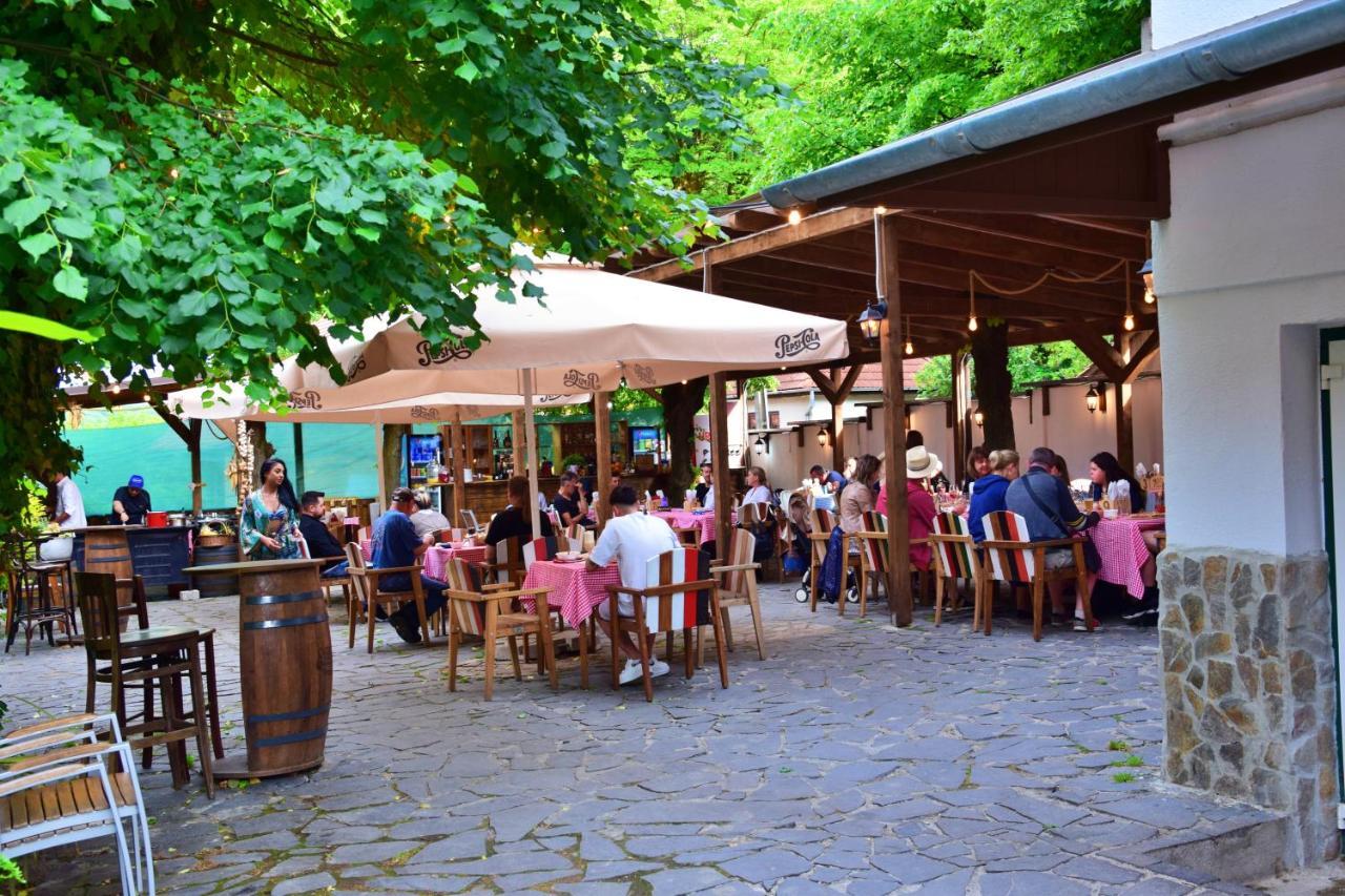 Pensiunea 7 Tei Cisnădioara Exterior foto