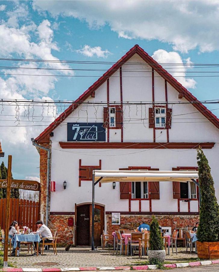 Pensiunea 7 Tei Cisnădioara Exterior foto